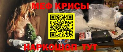 спайс Кингисепп