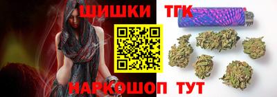 спайс Кингисепп