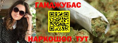 спайс Кингисепп