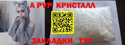спайс Кингисепп