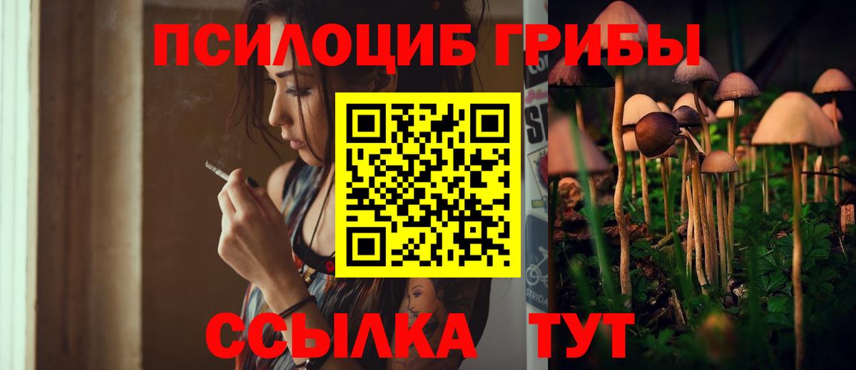 Галлюциногенные грибы GOLDEN TEACHER  Псилоцибиновые грибы мухоморы  Сертолово  Вход с VPN 