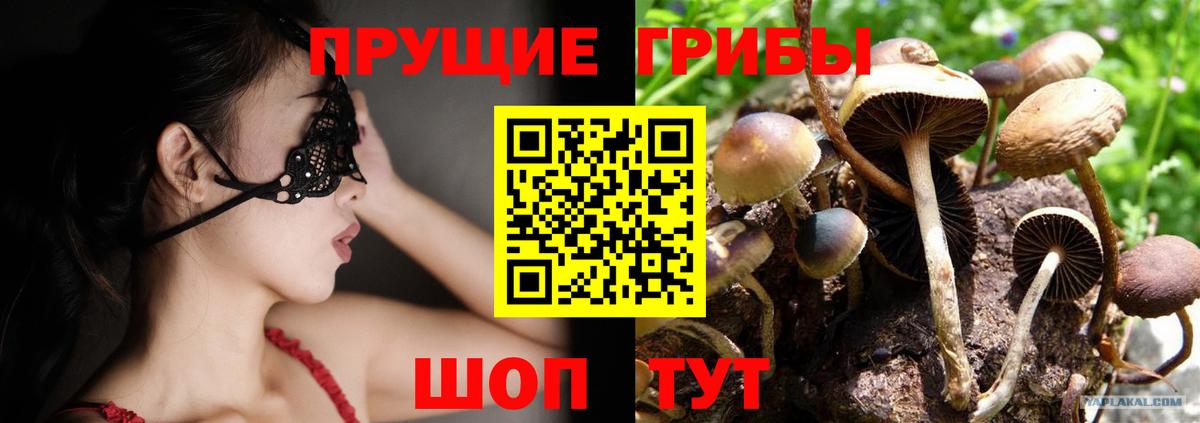 Галлюциногенные грибы MAGIC MUSHROOMS Сертолово
